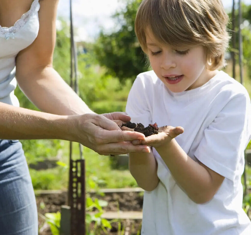 Eigen_moestuin_Buitenplaats